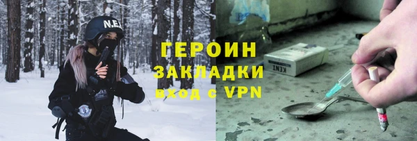 индика Осташков