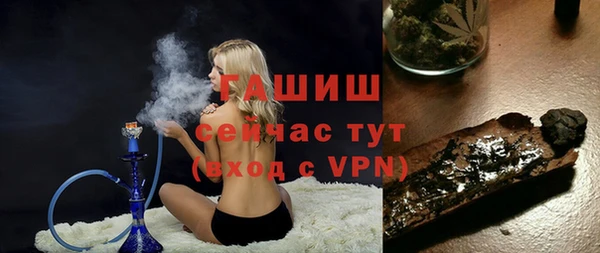 индика Осташков