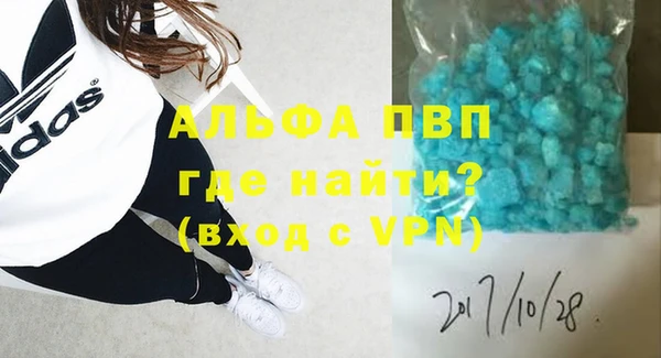 индика Осташков