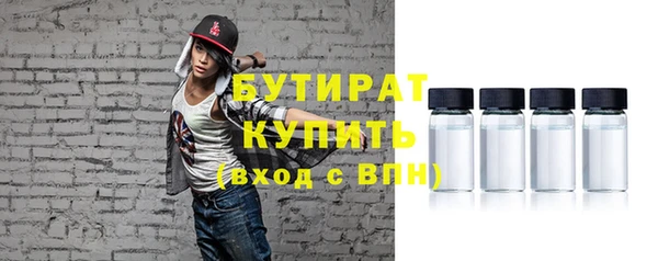индика Осташков