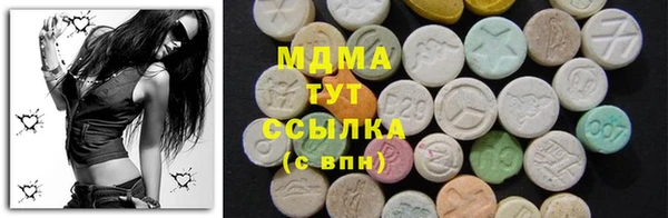 индика Осташков