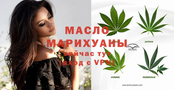 индика Осташков