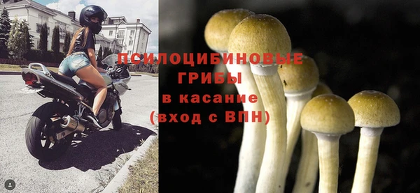 бутират Осинники