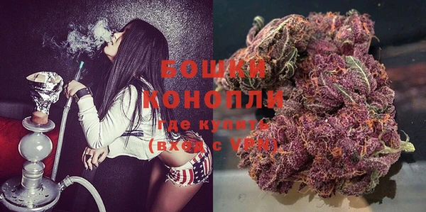 индика Осташков