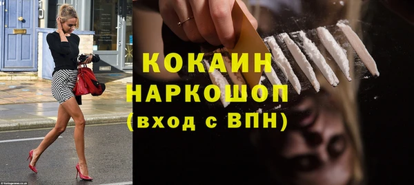 индика Осташков