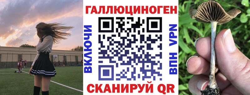 Галлюциногенные грибы Psilocybe  наркота  Советск 